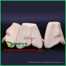 VERKAUFEN 12588 Oral Zahnspalte Lip Suture Training Modell weich